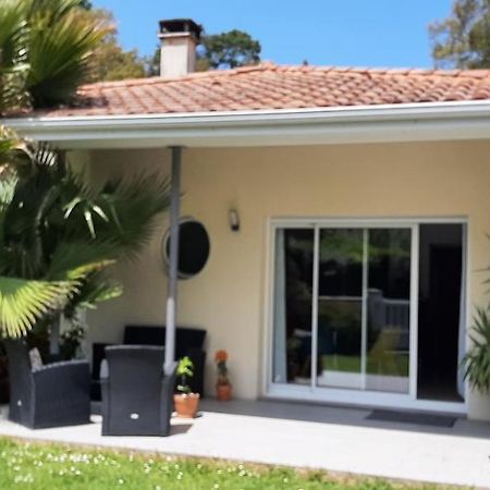 Villa La Palibe à Tarnos Extérieur photo